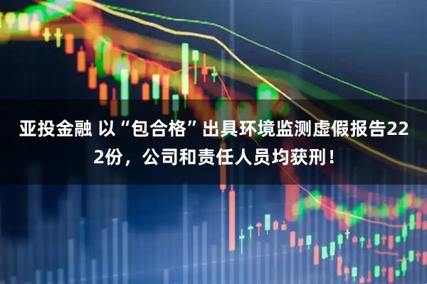 亚投金融 以“包合格”出具环境监测虚假报告222份，公司和责任人员均获刑！