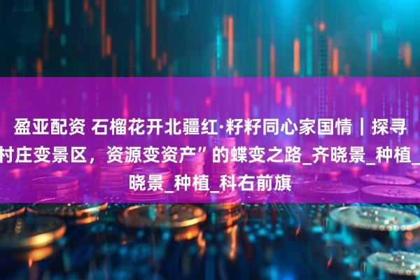 盈亚配资 石榴花开北疆红·籽籽同心家国情｜探寻平安村“村庄变景区，资源变资产”的蝶变之路_齐晓景_种植_科右前旗