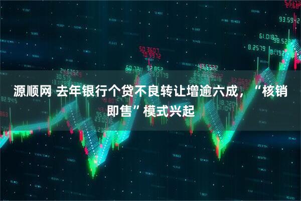 源顺网 去年银行个贷不良转让增逾六成，“核销即售”模式兴起