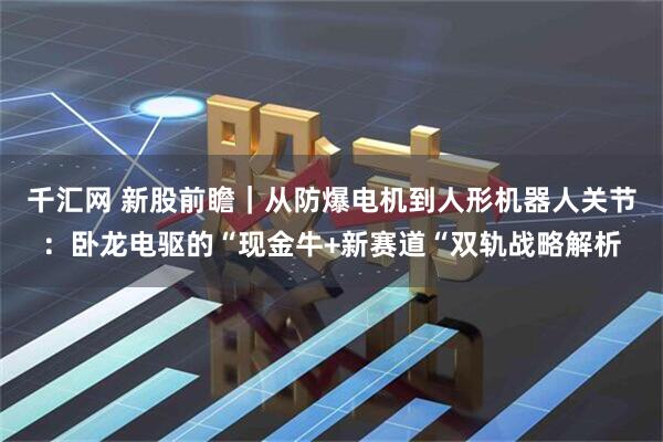 千汇网 新股前瞻｜从防爆电机到人形机器人关节：卧龙电驱的“现金牛+新赛道“双轨战略解析