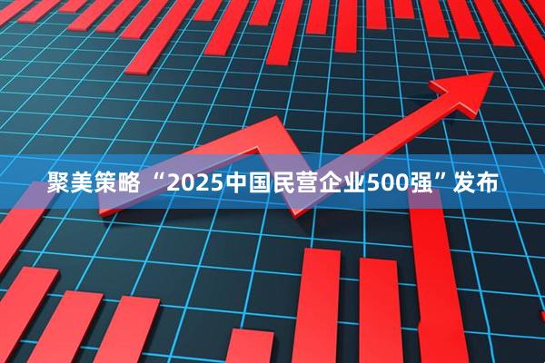 聚美策略 “2025中国民营企业500强”发布