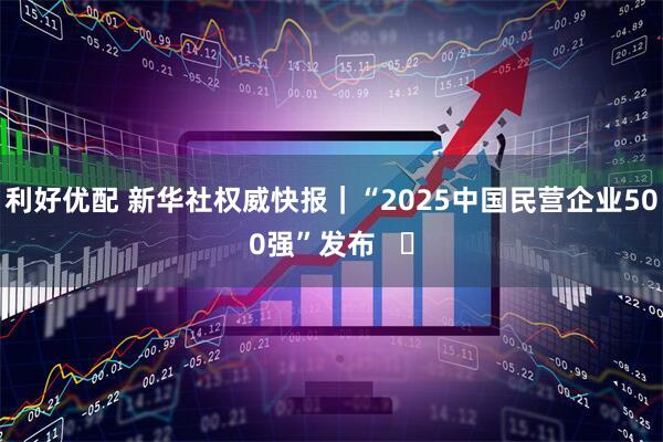 利好优配 新华社权威快报｜“2025中国民营企业500强”发布   ​